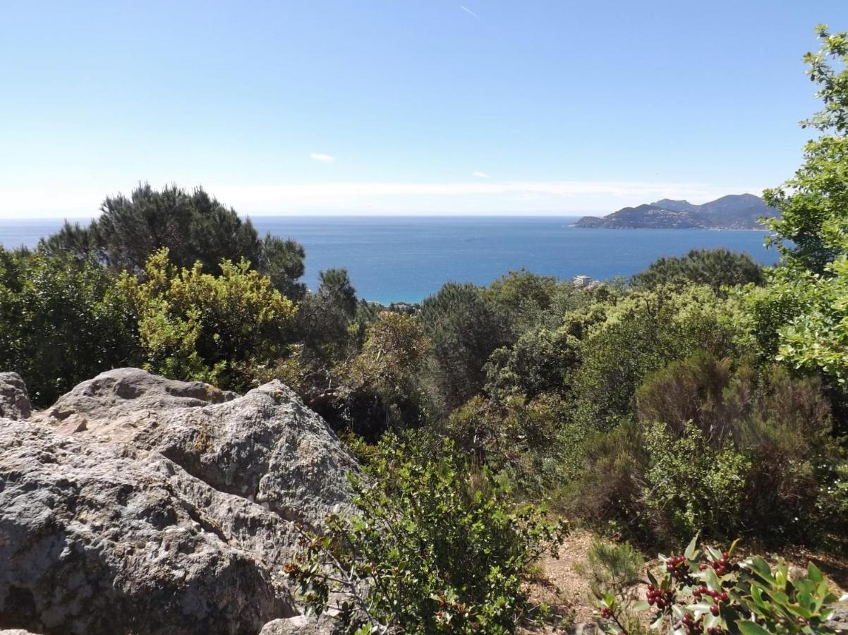 Appartement Luxueux 150M2 - Cannes Exteriér fotografie